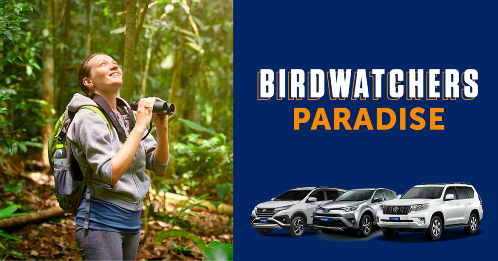 Costa Rica - A birdwatchers paradise - Budget Rent a Car