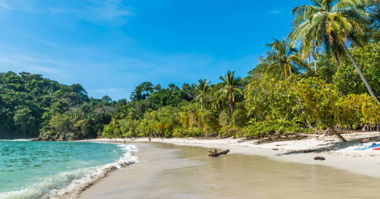 Discover the wonders of Manuel Antonio: An adventure with Interbus