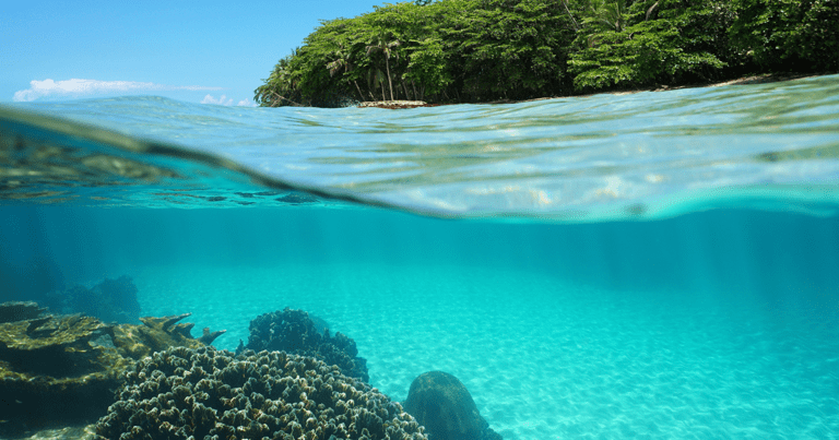 Discover the underwater world of Costa Rica