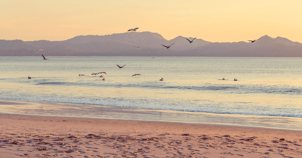 Which Budget vehicles to choose to visit the beaches of Costa Rica