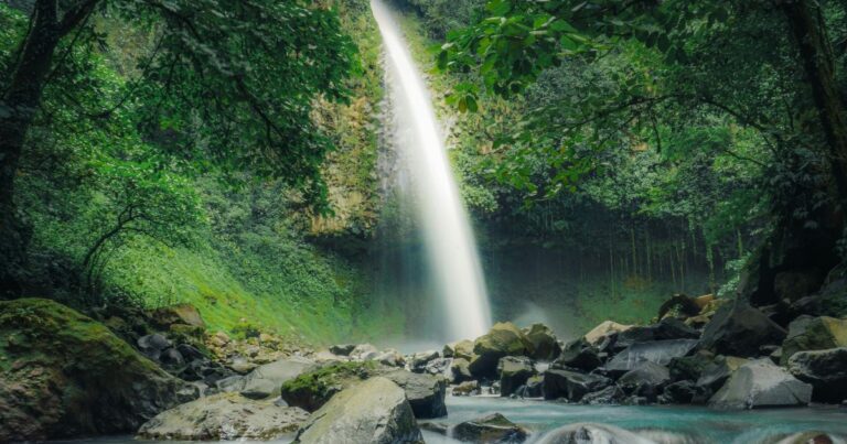 bosques de costa rica