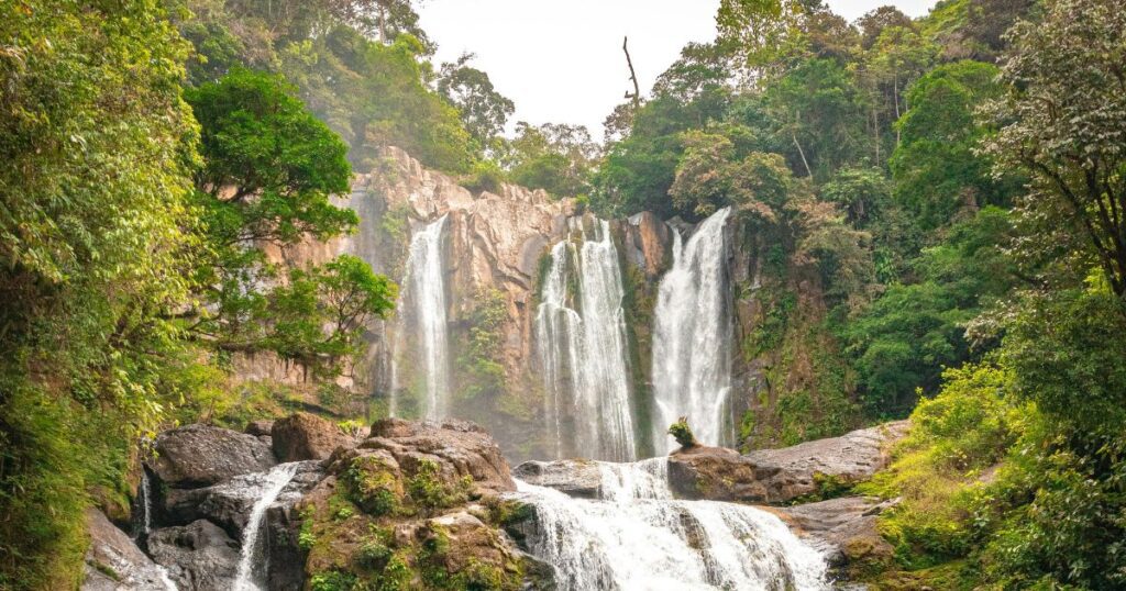 forests of costa rica