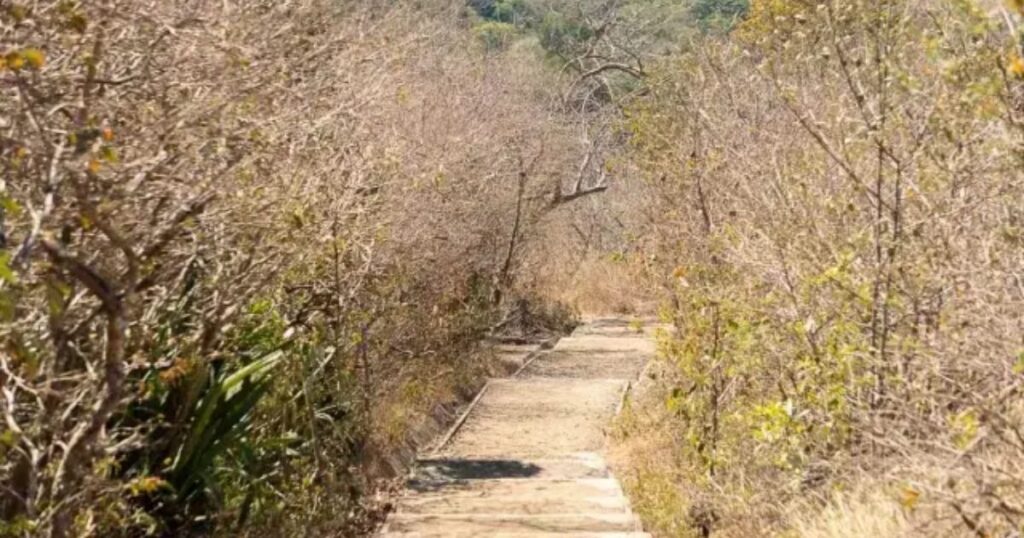 dry land of costa rica