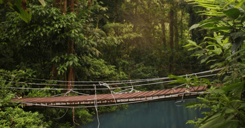 exploring costa rica forest