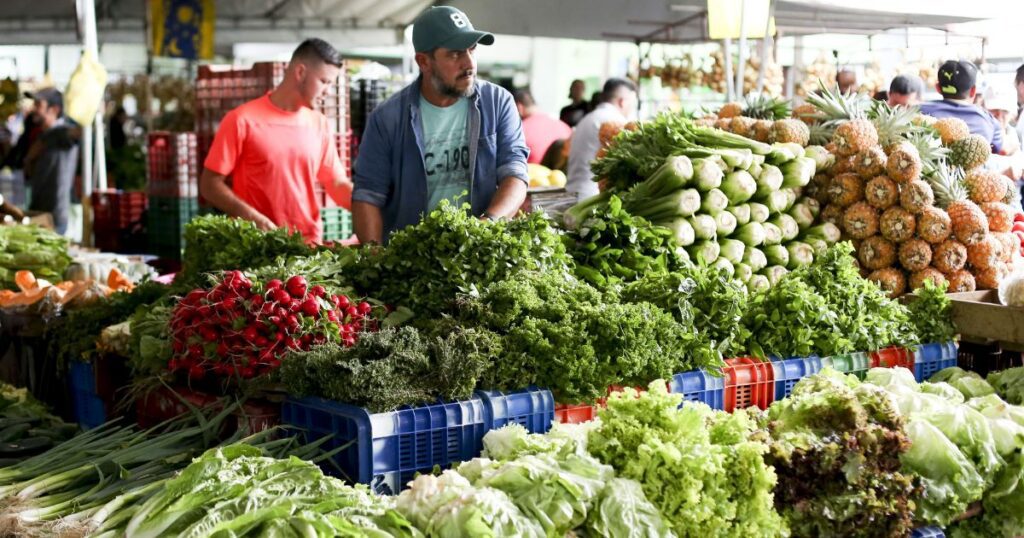 ferias del agricultor costa rica farmers market