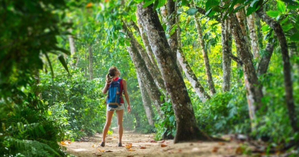 traveling in costa rica's desert