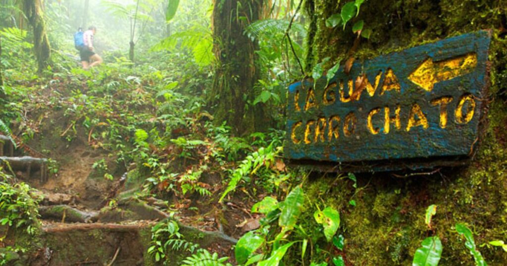 cerro chato trail