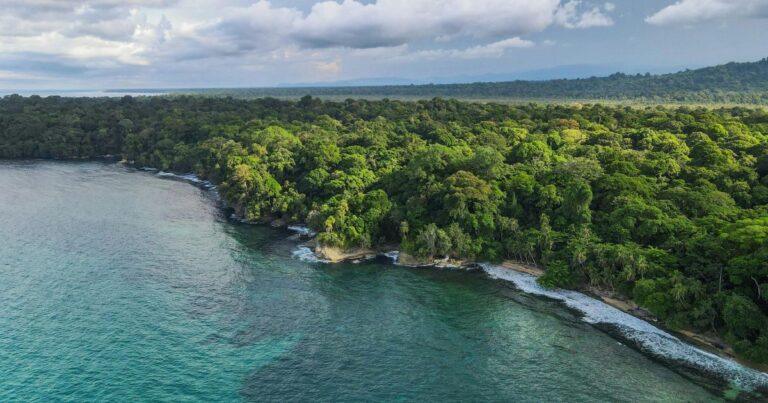 The Ultimate Limón Costa Rica Guide