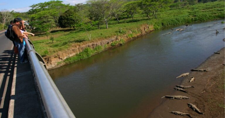crocodile bridge costa rica