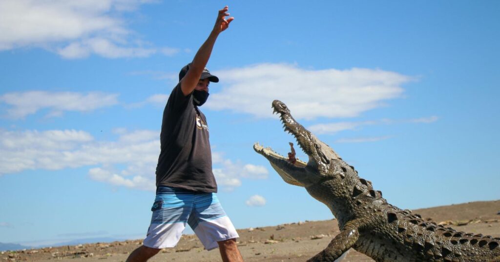 tips to follow for a memorable crocodile bridge costa rica visit