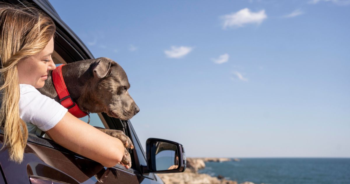 travel to costa rica with dog