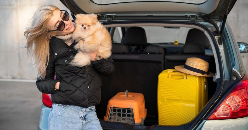 traveling to costa rica with your dog
