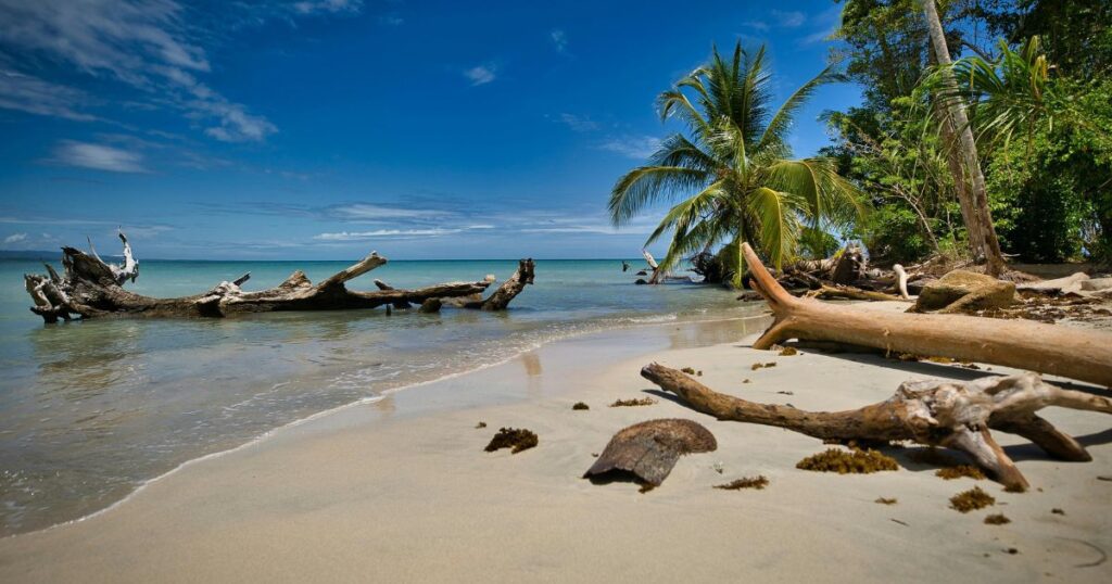 visit limón costa rica