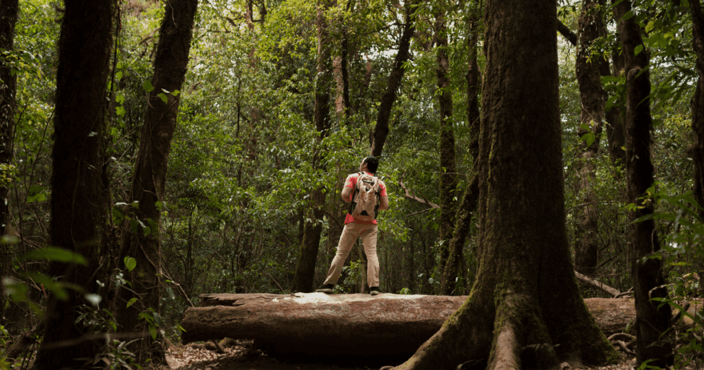 monteverde vs arenal: climate guide