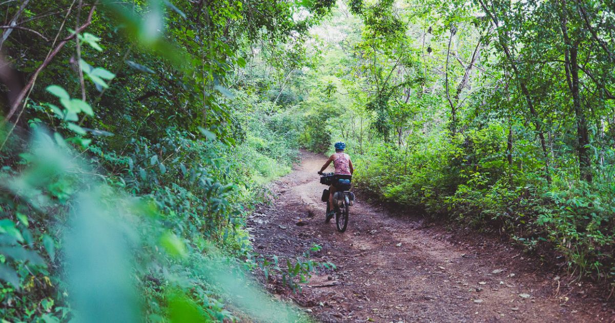 monkey trail costa rica