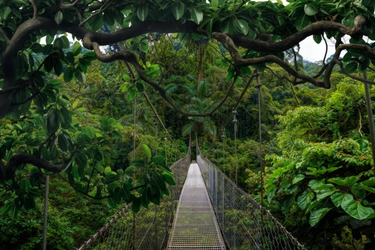 Rainy Season in Costa Rica