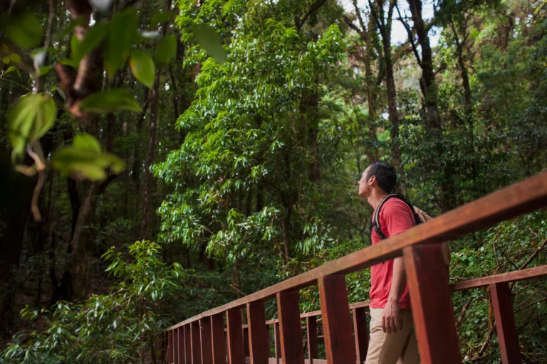 Best Time to Visit Guanacaste: Dry Season vs. Green Season